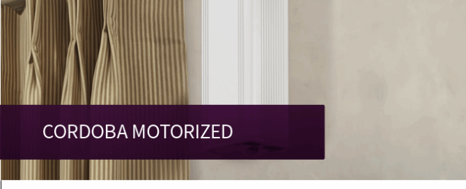 Forest Cordoba Motorized Brochure